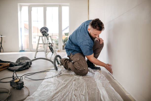 Reliable Iola, WI Drywall & Painting Services Solutions